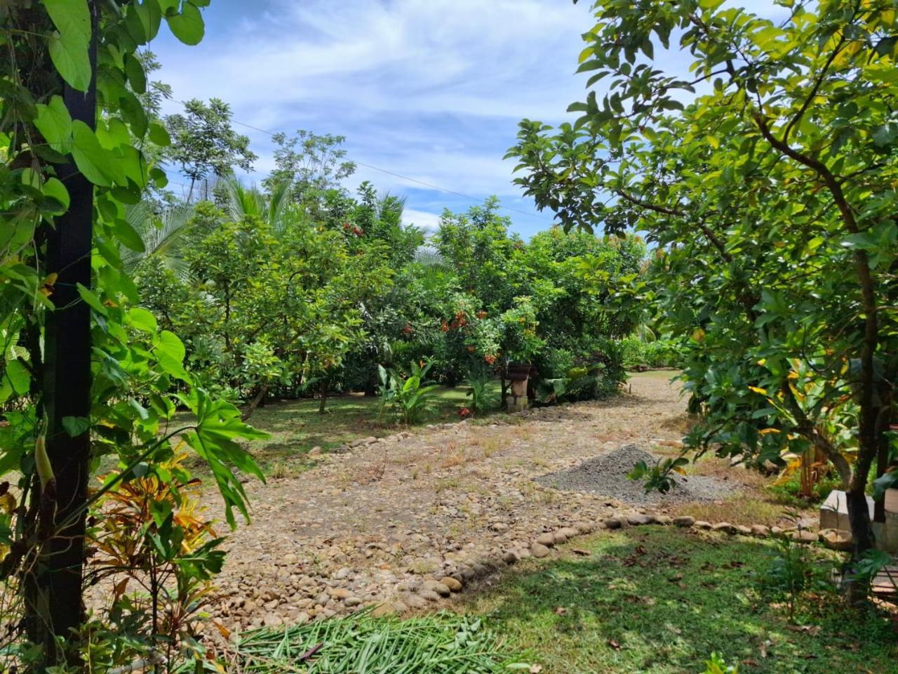 Bungalow Batsu La Fortuna Exteriér fotografie