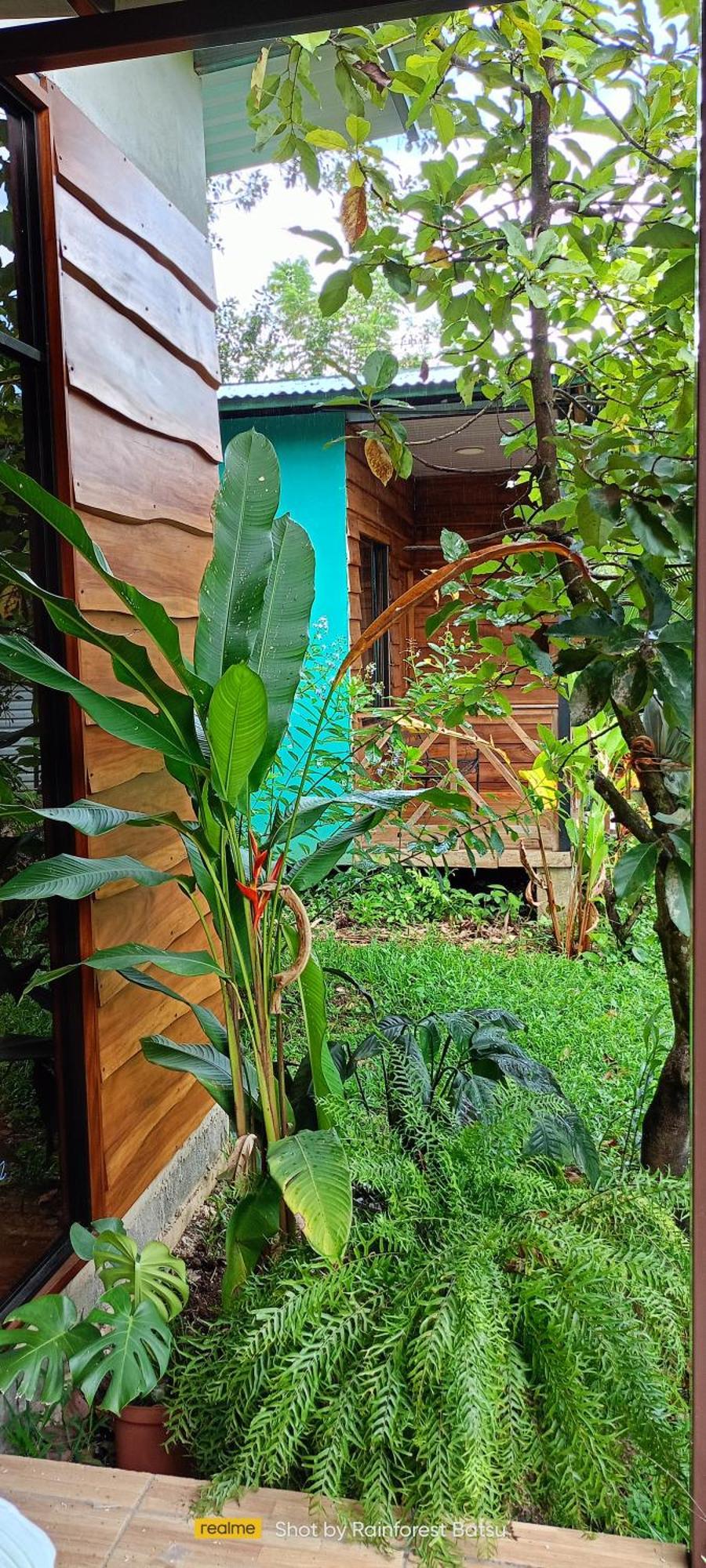 Bungalow Batsu La Fortuna Exteriér fotografie