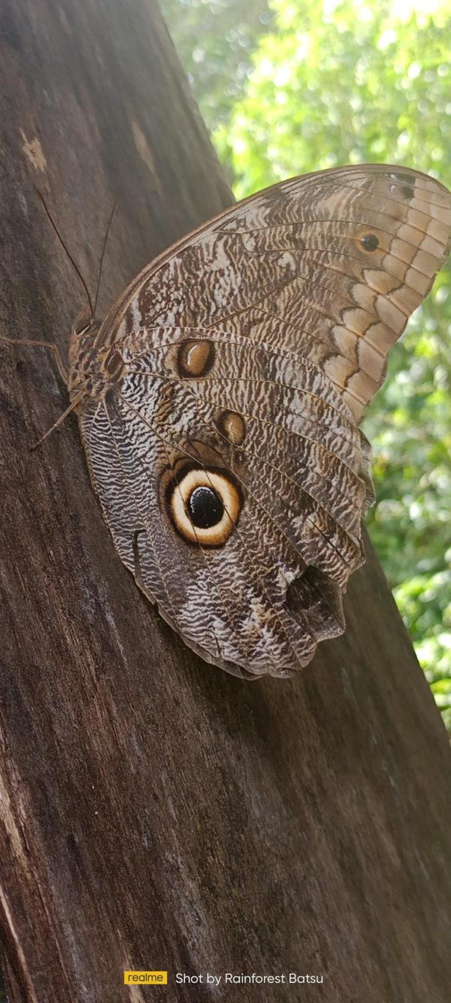 Bungalow Batsu La Fortuna Pokoj fotografie